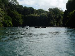mau 1-0463