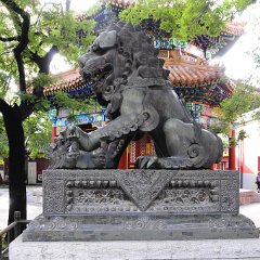china 1-191