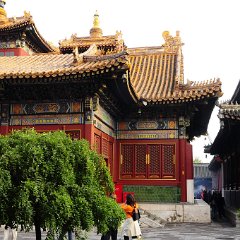 china 1-209