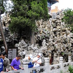 china 1-339