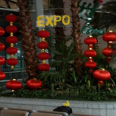 china 1-025