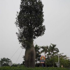 Zhuhai