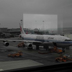 china 3-008 resize