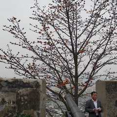 china 4-0351
