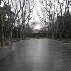 china 4-0979