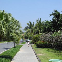 china 4-0590