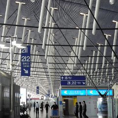 china 4-0146