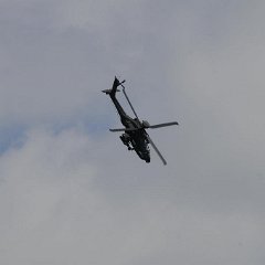 sng-as 033