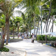 pty 008 resize