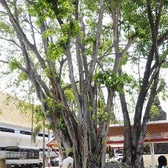 pty 166 resize