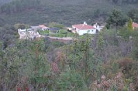 perdiz FM 022 resize