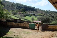 perdiz FM 036 resize