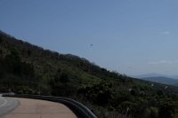 perdiz FM 068 resize