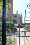 perdiz FM 071 resize
