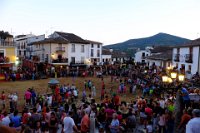 perdiz 2-031 resize