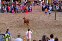 perdiz 2-050 resize
