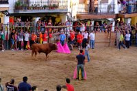 perdiz 2-063 resize