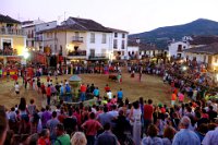 perdiz 2-065 resize