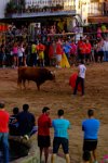 perdiz 2-066 resize