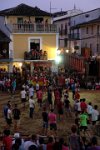 perdiz 2-070 resize