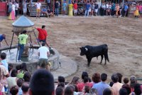 perdiz 2-111 resize