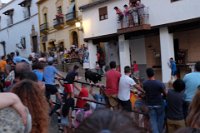 perdiz 2-114 resize