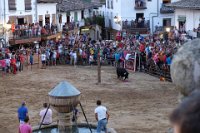 perdiz 2-115 resize
