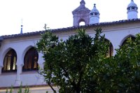 perdiz 2-142 resize