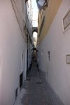 cam 235