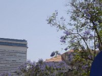 israele 2 217